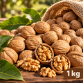 1 kg Bio Walnüsse in Schale
